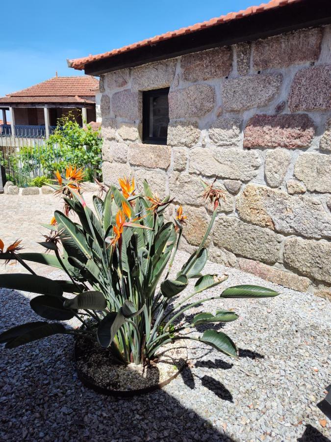 Casas Do Arrabalde Villa Amarante Eksteriør billede